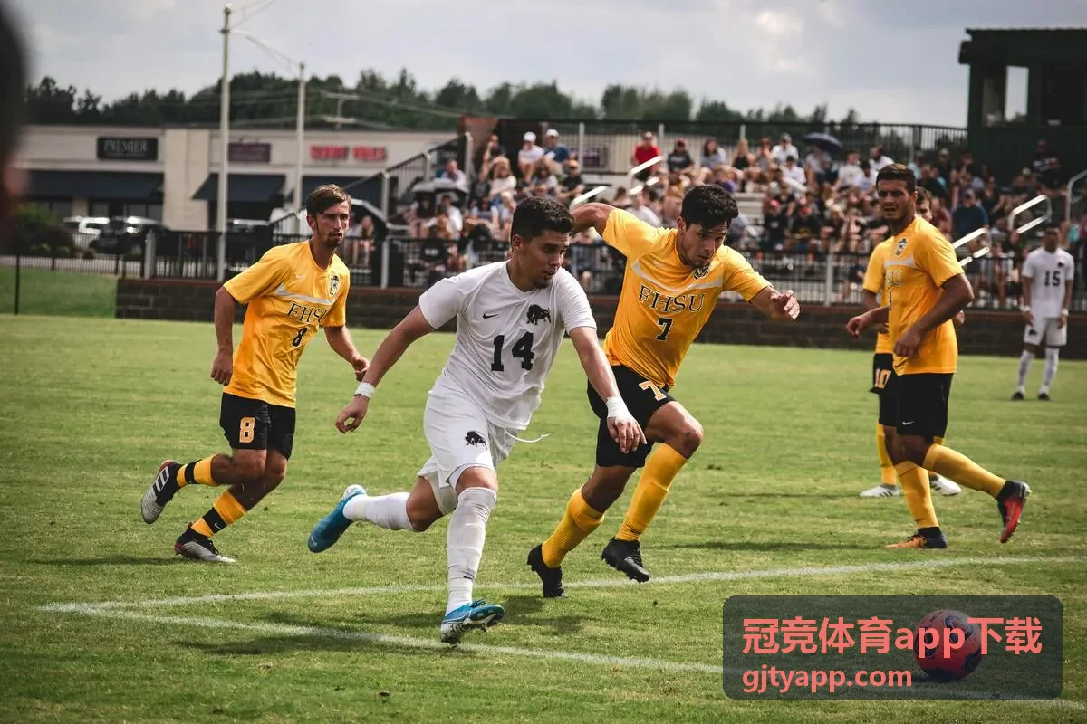 冠竞体育app下载实时比分界面
